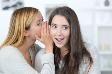 Fototapeta na wymiar gossip girl tells a secret to her friend