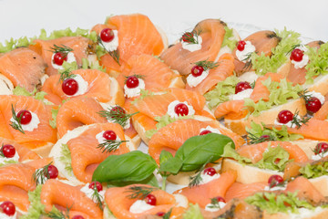 salmon morsel