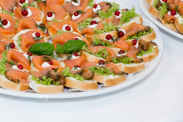 salmon starters