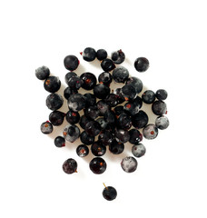 frozen black currant