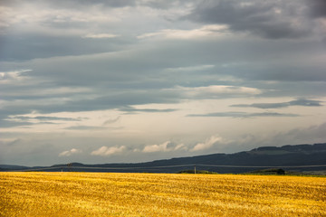 a field with a beautiful sky, a hunting place, and birds