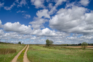 Fototapeta na wymiar The road passes through a spring field on a Sunny day, under a cloudy sky