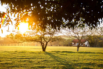 brilho do sol na fazenda