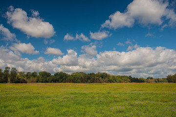 clouds and forest in a meadow rural landscape. Sunny day.