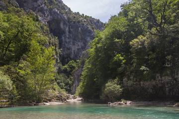 Mountain forest and river Verdon