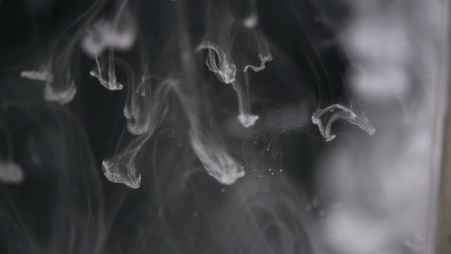 Abstract white flowing ink in water over black background. Slow motion 4K UHD video footage. 3840X2160
