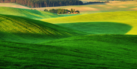 Obraz premium hilly field. spring morning. a beautiful sunrise in the field