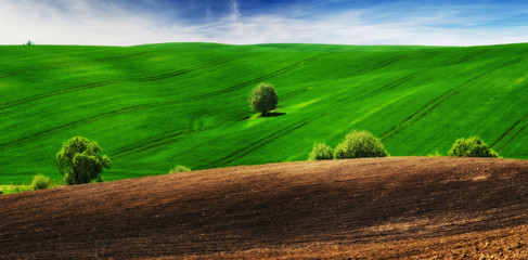 hilly field. spring morning. a beautiful sunrise in the field