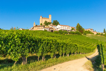 Serralunga d'Alba castle, Piedmont Italy