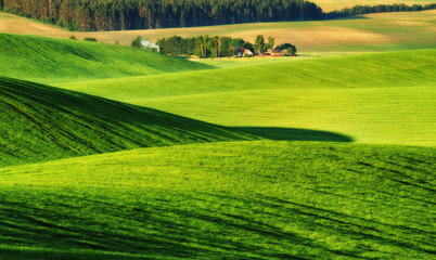 Obraz premium hilly field. spring morning. a beautiful sunrise in the field