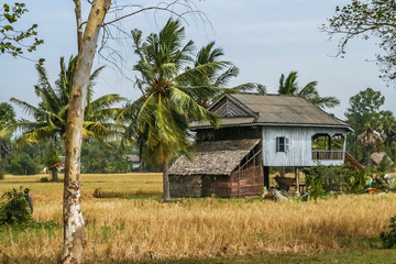 Fototapeta na wymiar Village house in cambodian countryside