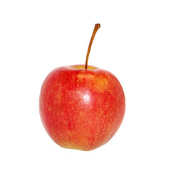 Apple isolated on white background