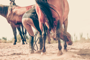 Closeup sepia photo of dark horse legs running