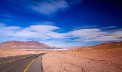 Fototapeta na wymiar Road through chilean Altiplano