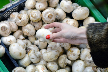 Closeup image of female hands choosing mushrooms in the store