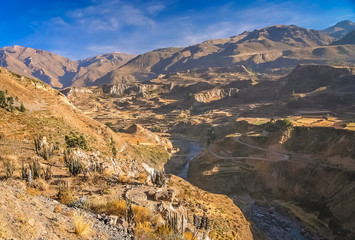 View of the deep Canyon Colca in Peru