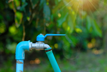faucet and hose reel in the garden