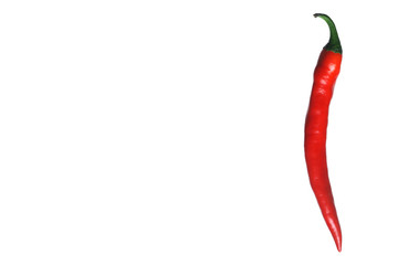 Red pepper on a white background, place for inscription, isolate