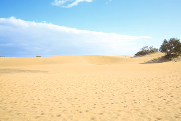 Sand dunes in Maspalomas on Gran Canaria Island, Canary Island, Spain