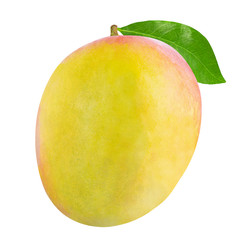  Mango fruit with leaf isolated on white