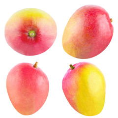 Collection of isolated whole mango fruit