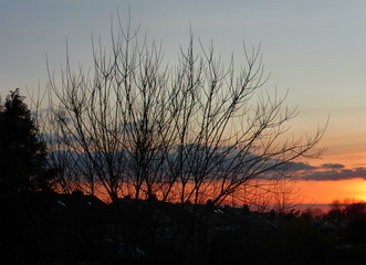 Fototapeta premium Sunset