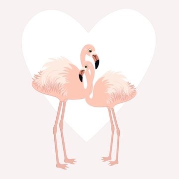 Pair of cute flamingos