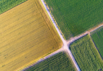 Top view of agricultural parcels - Powered by Adobe