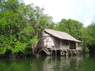 Fototapeta premium Cabane en bois sur pilotis dans une mangrove, à Bintan (Indonésie)