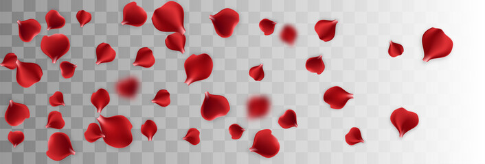 Isolated greeting frame. Red rose petal transparent background. Vector wedding illustration. Valentines Day greeting card. Valentine's floral poster. Valentine symbol. Random falling petals.