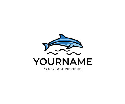 Colorful dolphin logo template. Fish vector design. Animal illustration