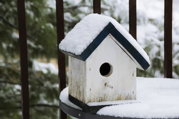 Snow covered wooden rustic bird house, selective focus