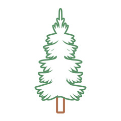 Pine tree design
