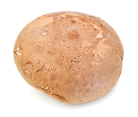 Portabello Mushroom isolated against white background.