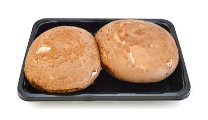 Portabello Mushroom isolated against white background.