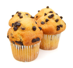 Fresh chocolate chip muffin close up.