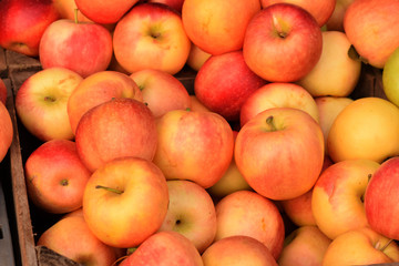 Apples in a Pile at the Farmers Market