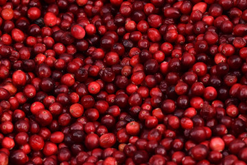 Cranberries in a Pile Closeup Abstract Texture Background