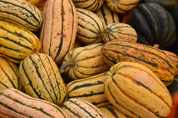 Gourds in a Pile, Closeup Abstract Texture Background