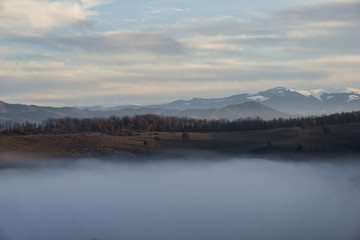 Picturesque romanian countryside scene with flock of sheep, fog and mountains in the background