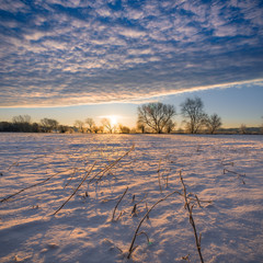 Cold farm field covered in snow at sunrise.