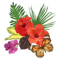 Tropical flowers and leaves, hibiscus, orchid and butterfly. 