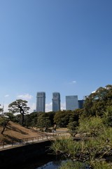 浜離宮恩賜庭園と都心ビル街