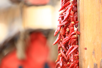Red chilies