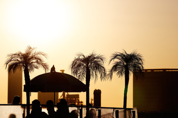 夕日とヤシの木