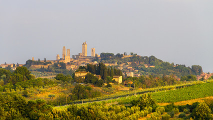 Fototapeta na wymiar Idyllic and scenic landscape - vineyard and old town San Gimignano with fourteen towers on the top of the hill, Tuscany, Italy; tourism, travel, vacation; background.