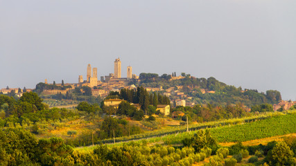 Idyllic and scenic landscape - vineyard and old town San Gimignano with fourteen towers on the top of the hill, Tuscany, Italy; tourism, travel, vacation; background.