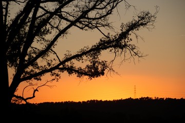 Fototapeta premium Atardecer