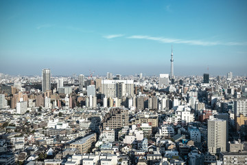 Fototapeta premium 東京の風景