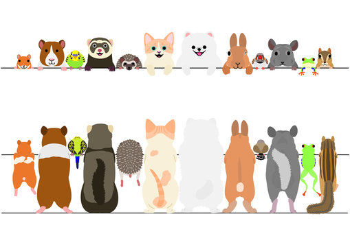 standing pet animals front and back border set